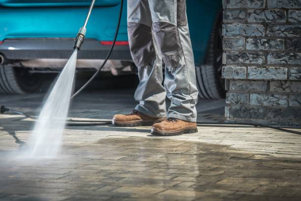 Best Winterizing Services  in Silver Springs, FL